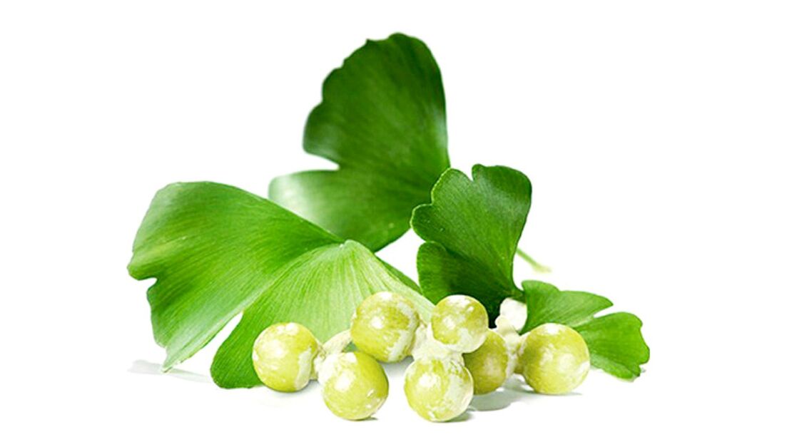 Ginkgo bilobe en OstyHealth
