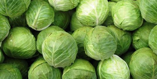 repolo para unha compresa para a artrose do xeonllo